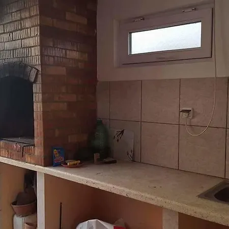 Pensiunea Leonte Ferienhaus *